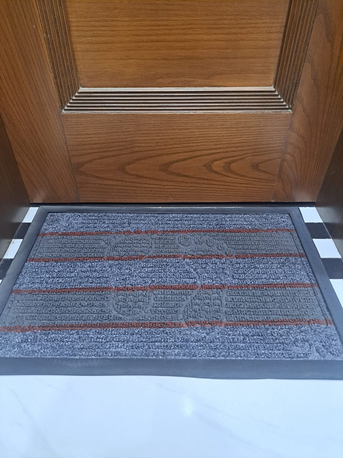 Imported Non-Slip Door Mat – Premium Quality Floor Mat for Home & Office | HouseLinens