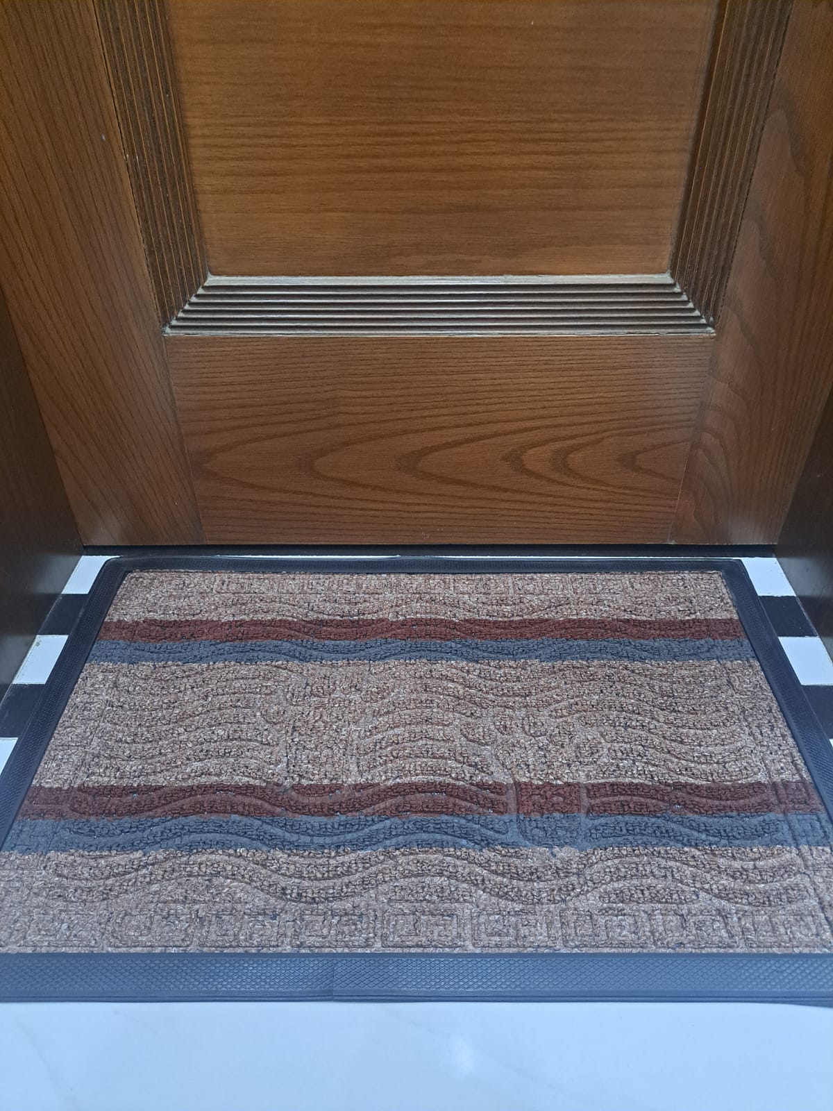 Imported Non-Slip Door Mat – Premium Quality Floor Mat for Home & Office | HouseLinens