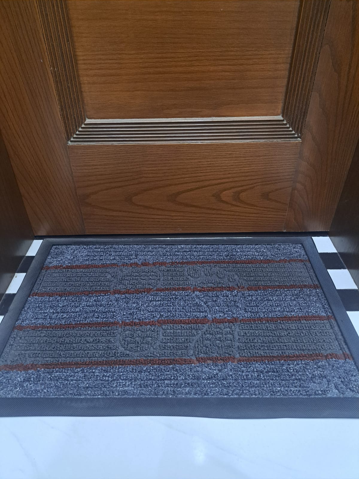 Imported Non-Slip Door Mat – Premium Quality Floor Mat for Home & Office | HouseLinens