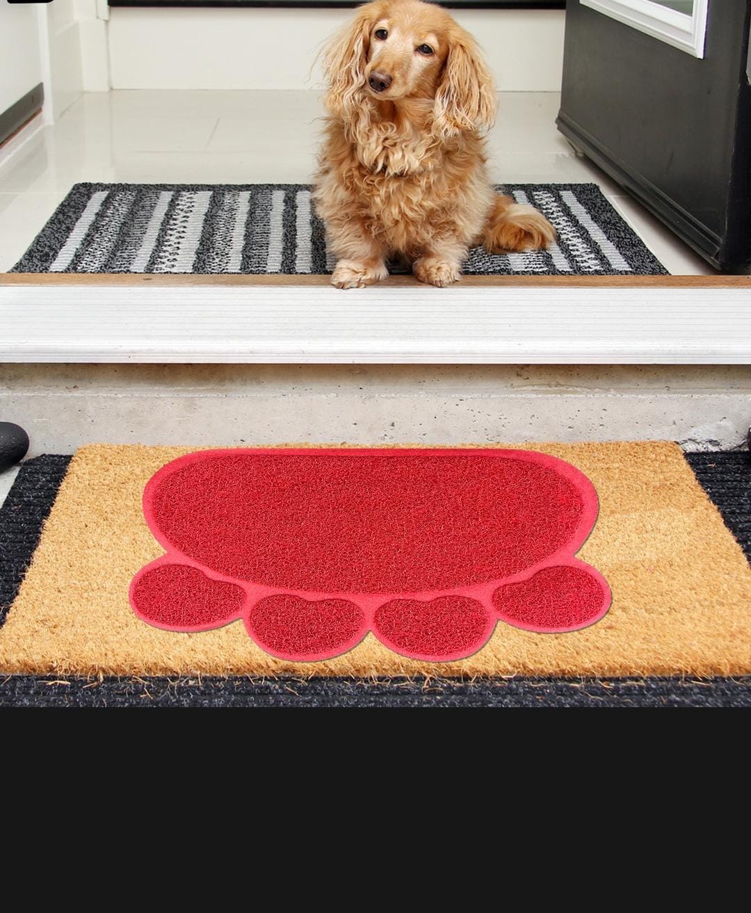 Dog sitting on a doormat with a red paw print design, next to a doormat with a similar design.